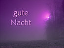 gute Nacht
