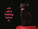 will sofort Fr�hling haben !!!