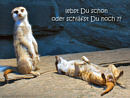 lebst du schon oder schl�fst du noch ??