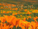 ein lieber Gru� an Dich