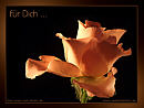f�r Dich ...