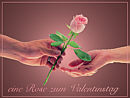 eine Rose zum Valentinstag