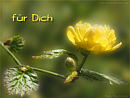 f�r Dich