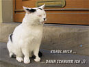 kraul mich, dann schnurr ich :))