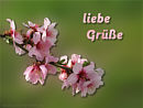 liebe Gr��e