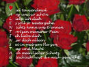 Viel tausend mal -  Arg und so schn - Liebe ich dich - Es soll so weitergehen - Nichts kann uns trennen - Trotzen mancher Pein - Ich liebe dich - Nur dich allein - Sei in meinem Herzen - Tag und Nacht - Ach mein lieber Schatz - Glcklich hast du mich gemacht