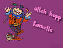 alleh hopp kammelle