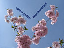 einen guten Wochenstart