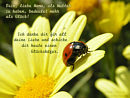 Dich, liebe Mama, als Mutter zu haben, bedeutet mehr als Glck! Ich danke dir fr all deine Liebe und schicke dir heute einen Glckskfer