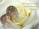 alles Liebe fr Dich zum Muttertag, liebe Mutti