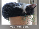 mach mal Pause