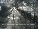 m�ge stets ein guter Stern in deiner N�he sein
