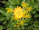 ein lieber Sommergru� f�r Dich