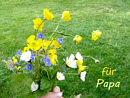f�r Papa