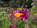 liebe Gr��e