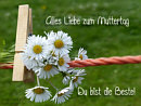 Alles Liebe zum Muttertag - Du bist die Beste