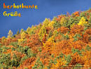 herbstbunte Gre