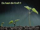 Du hast die Kraft