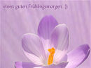 einen guten Fr�hlingsmorgen