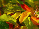 farbenfrohe Herbstgre