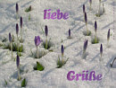 liebe Gre