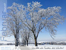 Februarwunsch: Geniee die Farben des Winters