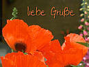 liebe Gre